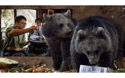 Japonya’da Ayı Eti Talebi Patladı: Rekor Saldırıların Ardından Restoranlar Yetişemiyor