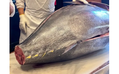 Dev Balığa Servet Ödedi: Zam Yok, Müşterilerime Eski Fiyattan Satacağım