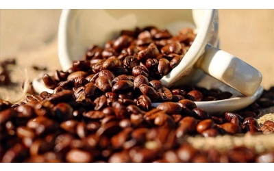 Küresel Kahve Dükkânı Pazarı Büyüyor: 2032’de 290 Milyar Doları Aşması Bekleniyor