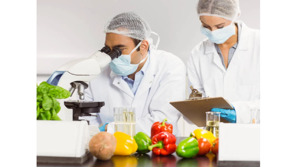 Gıda Güvenliğinde Türkiye için En Büyük Tehdit Belli Oldu!